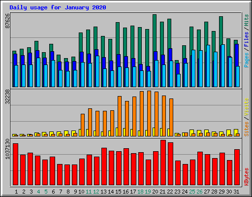 Daily usage for January 2020