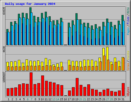 Daily usage for January 2024