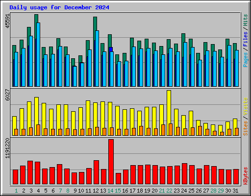 Daily usage for December 2024