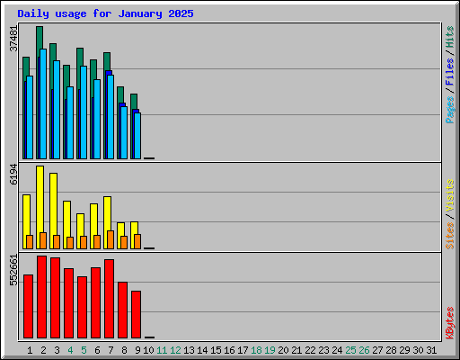 Daily usage for January 2025