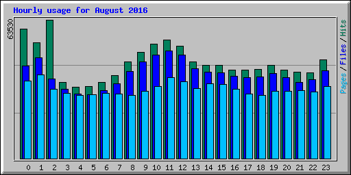 Hourly usage for August 2016