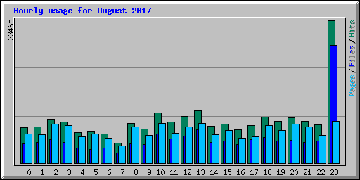 Hourly usage for August 2017