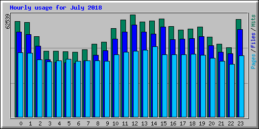 Hourly usage for July 2018