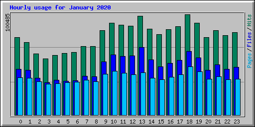 Hourly usage for January 2020