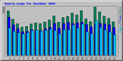 Hourly usage for December 2020