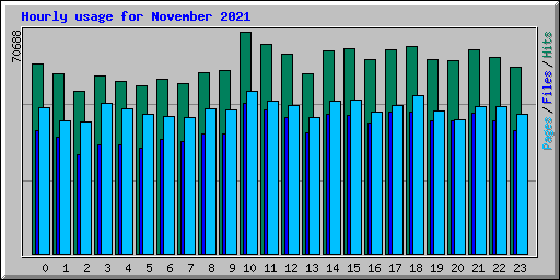 Hourly usage for November 2021