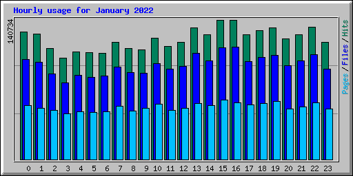 Hourly usage for January 2022