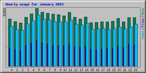 Hourly usage for January 2023