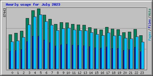 Hourly usage for July 2023