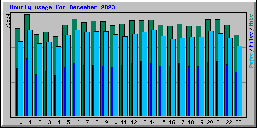 Hourly usage for December 2023