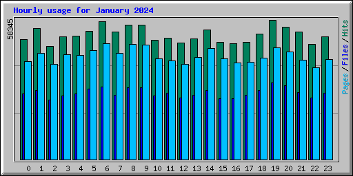 Hourly usage for January 2024