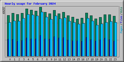 Hourly usage for February 2024