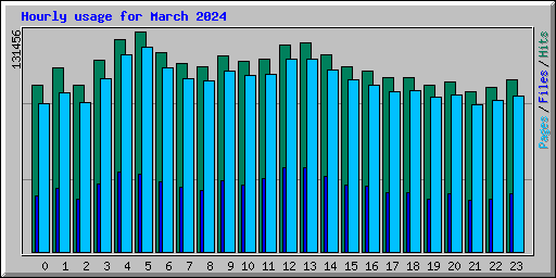 Hourly usage for March 2024