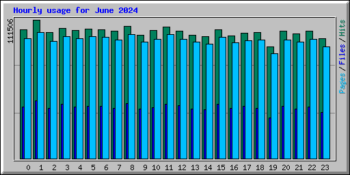 Hourly usage for June 2024