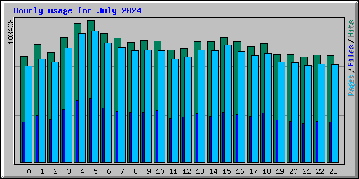 Hourly usage for July 2024