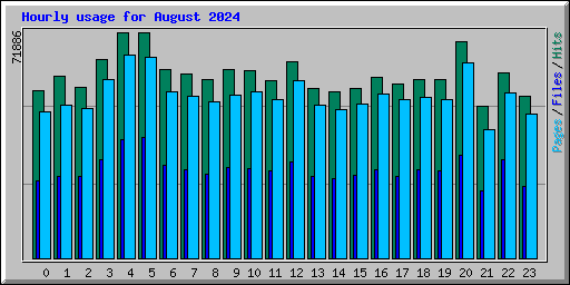 Hourly usage for August 2024