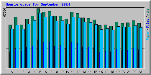 Hourly usage for September 2024