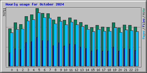 Hourly usage for October 2024