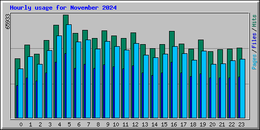 Hourly usage for November 2024