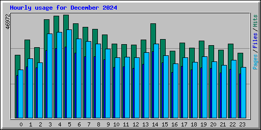 Hourly usage for December 2024