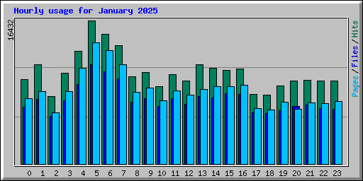 Hourly usage for January 2025