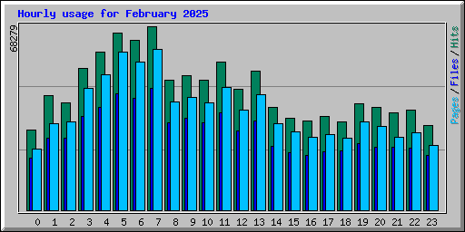 Hourly usage for February 2025