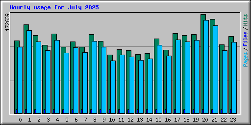 Hourly usage for July 2025