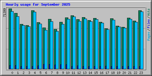 Hourly usage for September 2025