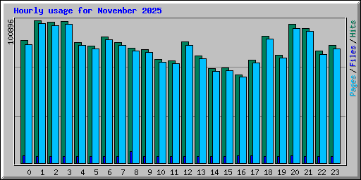 Hourly usage for November 2025