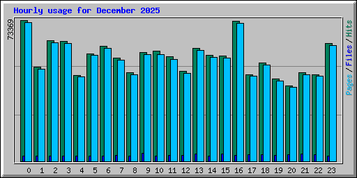 Hourly usage for December 2025