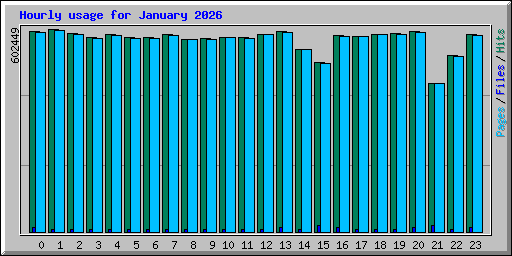 Hourly usage for January 2026