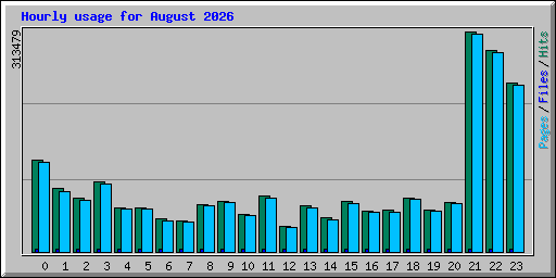 Hourly usage for August 2026